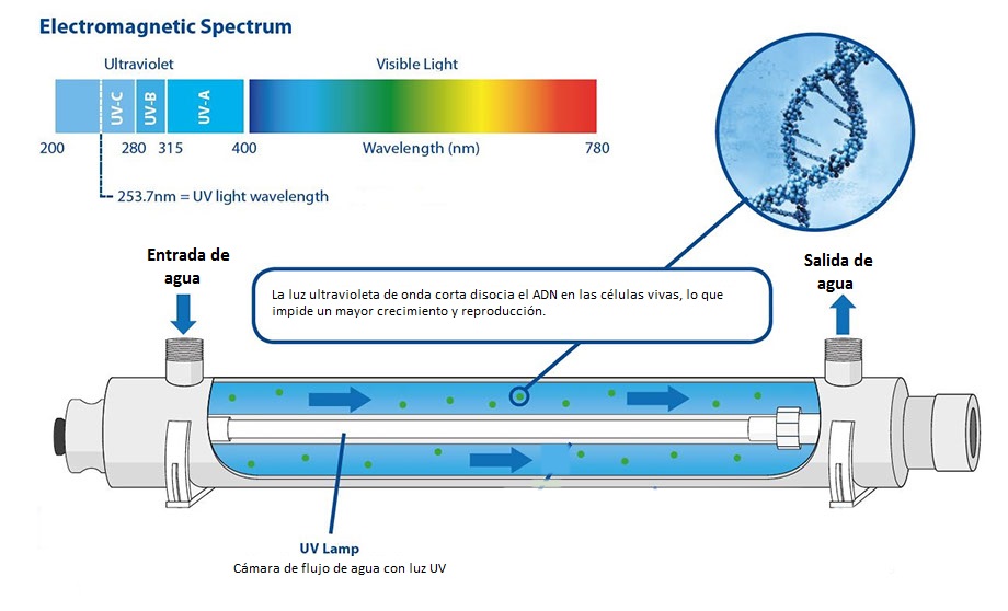 Desinfección de agua con luz ultravioleta UV - funciona